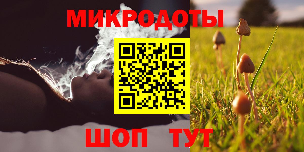 Псилоцибиновые грибы Cubensis  Вход с VPN  Камень-на-Оби 